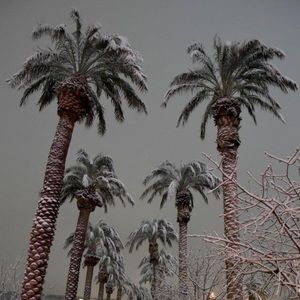 Meet your Posher, Rashida